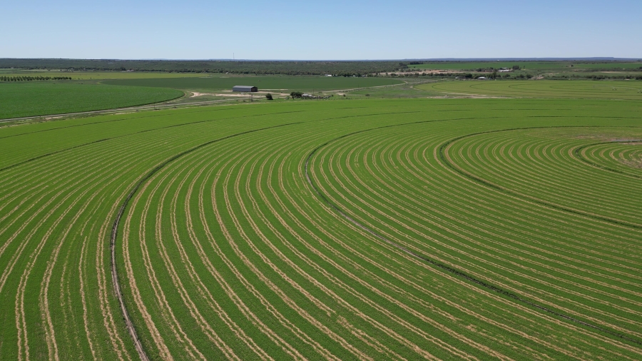 0 Bedroom Property for Sale in Douglas Rural Northern Cape